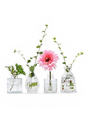 NWT Set of 4 small clear glass bud vases